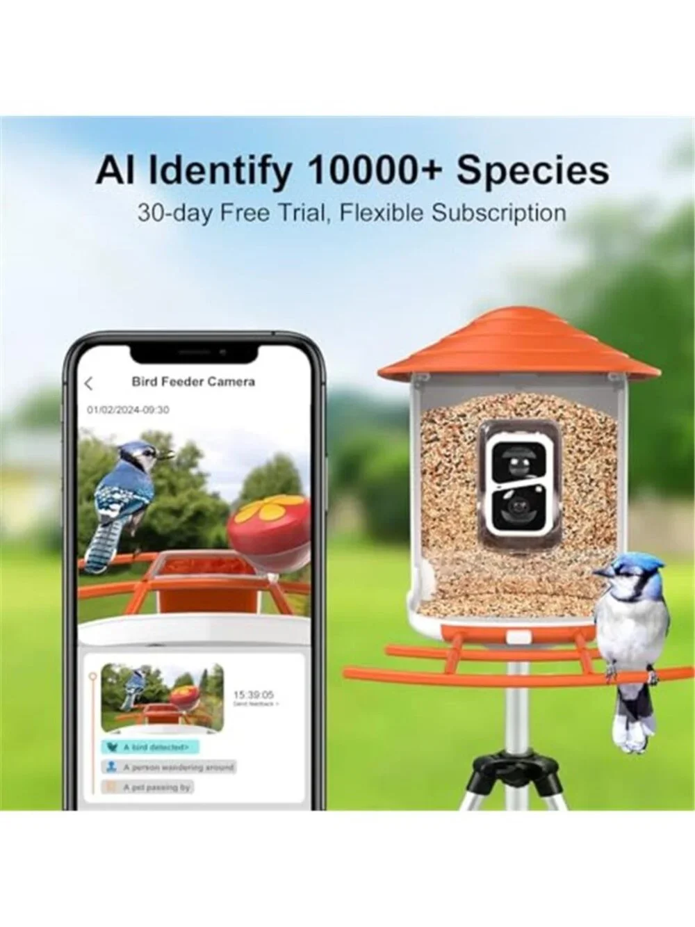 New TUC Bird Feeder with Camera 2K HD Live with 32GB Card Auto Detect &